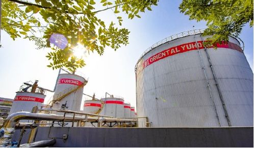 東方雨虹,系統產品,服務工業綠色低碳發展